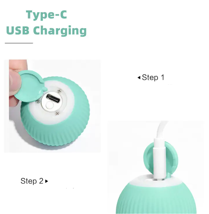 Smart Ball for Pets