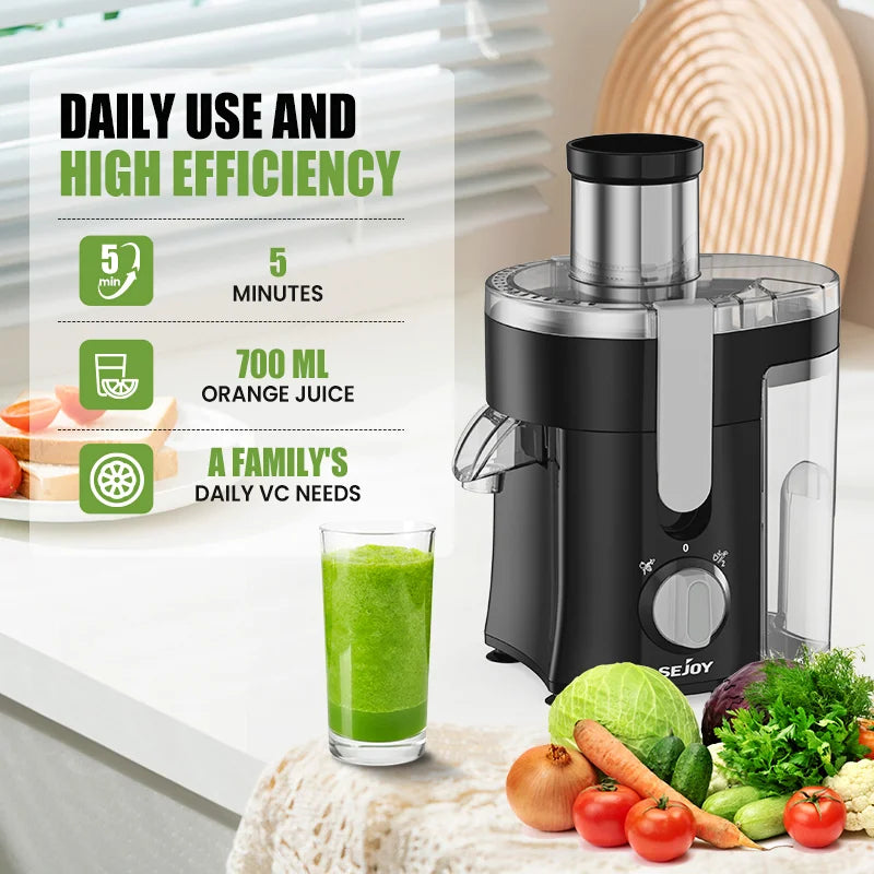 300W Juice Extractor