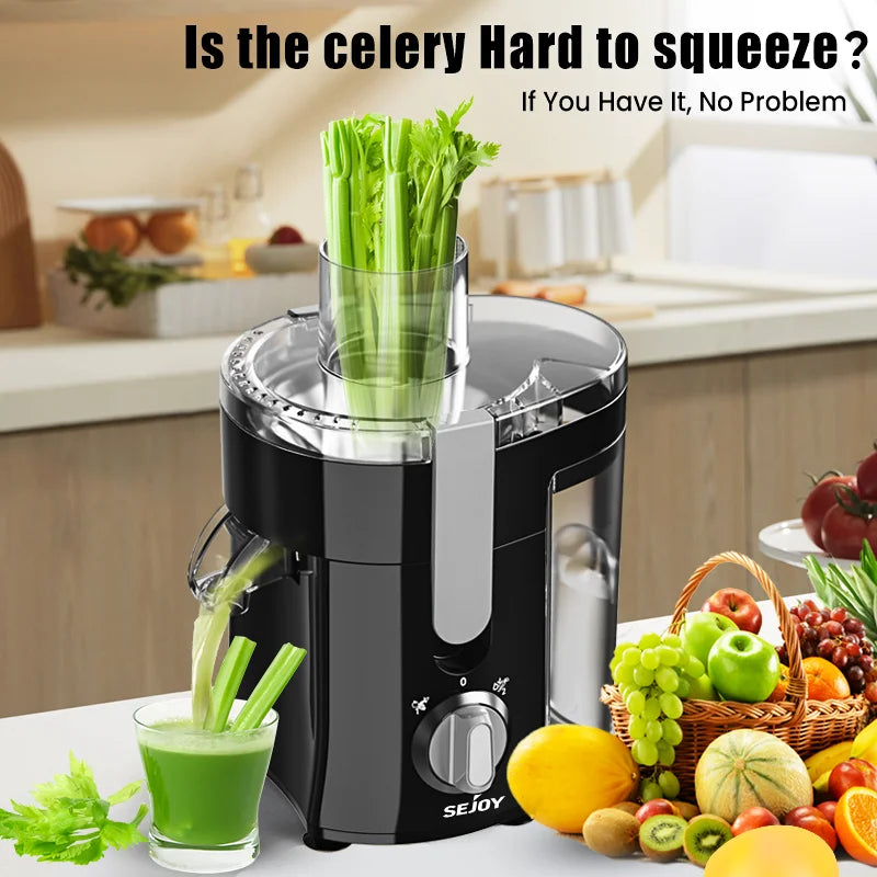300W Juice Extractor